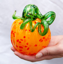Load image into Gallery viewer, Pumpkins for sale!